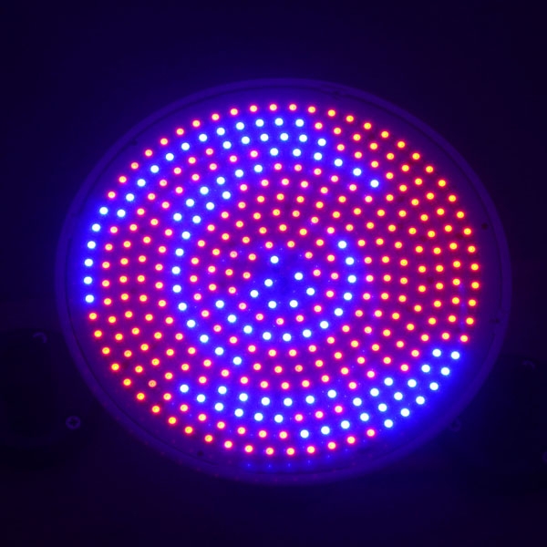 Ampolleta de Cultivo Indoor Grow 352 Leds