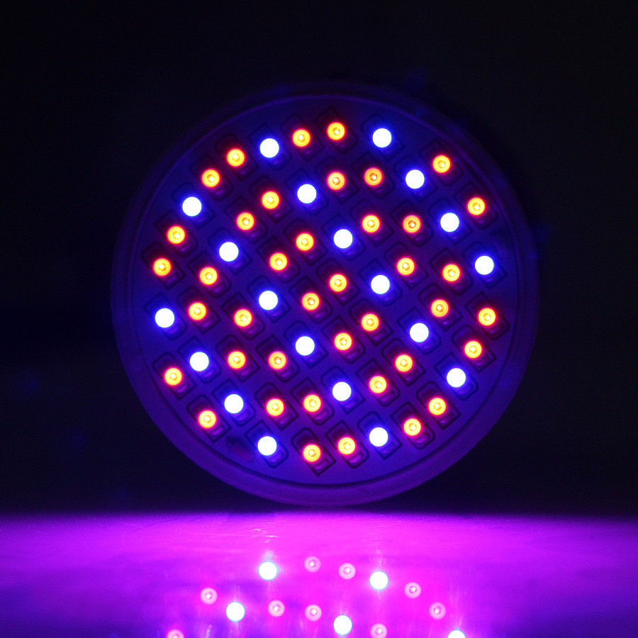 Ampolleta de Cultivo Indoor Grow 80 Leds