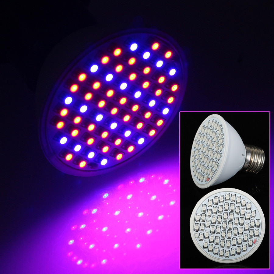 Ampolleta de Cultivo Indoor Grow 60 Leds